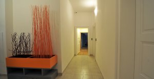 Apartment Brno - hall